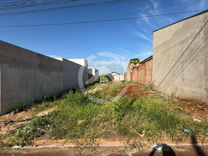 Terreno à Venda no bairro Jardim Doutor Roberto Pacheco em Jaú imagem 0