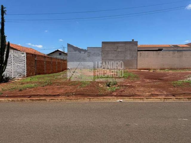 Terreno Venda Condomínio Bela Vista em Jaú